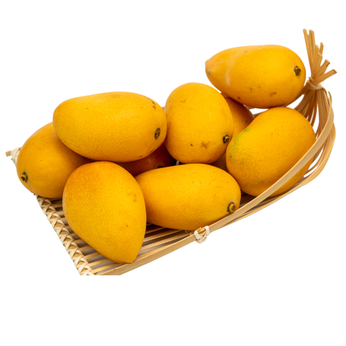 Mangoes Suppliers In Yemen | Mangoes Exporters In Yemen